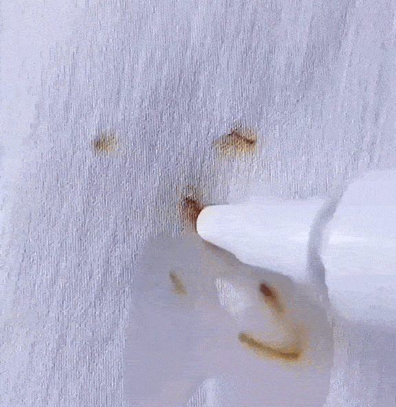 Stylo Détachant Instantané